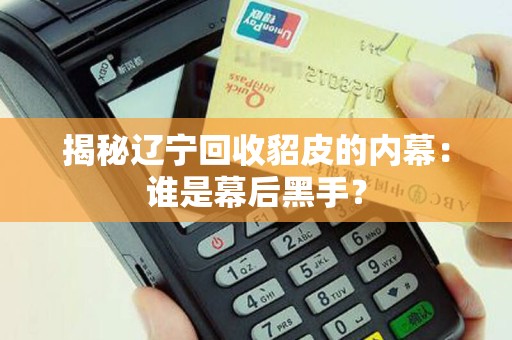 揭秘辽宁回收貂皮的内幕：谁是幕后黑手？