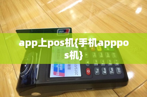 app上pos机{手机apppos机}