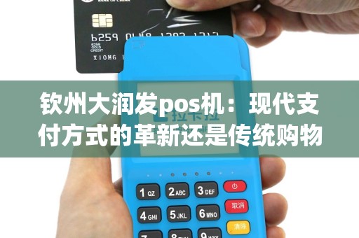钦州大润发pos机：现代支付方式的革新还是传统购物体验的终结？