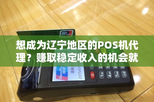 想成为辽宁地区的POS机代理？赚取稳定收入的机会就在眼前！