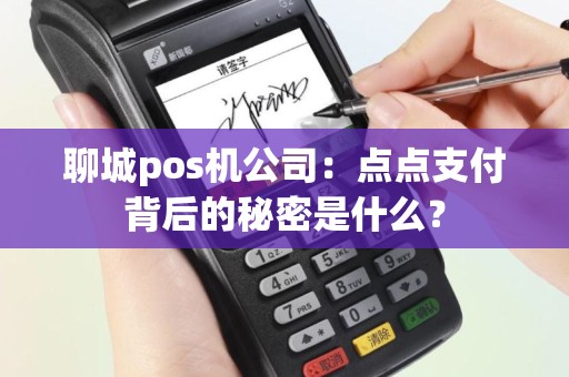 聊城pos机公司：点点支付背后的秘密是什么？