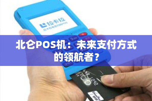北仑POS机：未来支付方式的领航者？