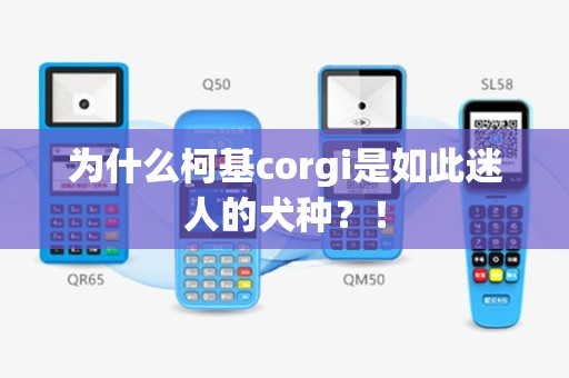 为什么柯基corgi是如此迷人的犬种？！