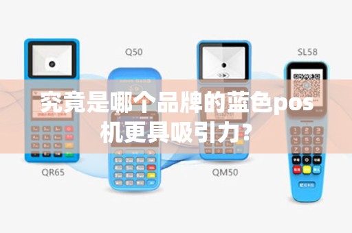 究竟是哪个品牌的蓝色pos机更具吸引力？