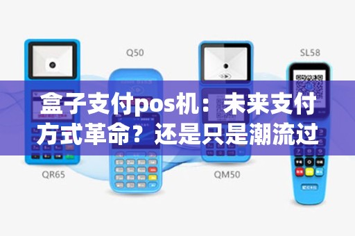 盒子支付pos机：未来支付方式革命？还是只是潮流过客？