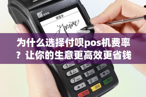 为什么选择付呗pos机费率？让你的生意更高效更省钱！